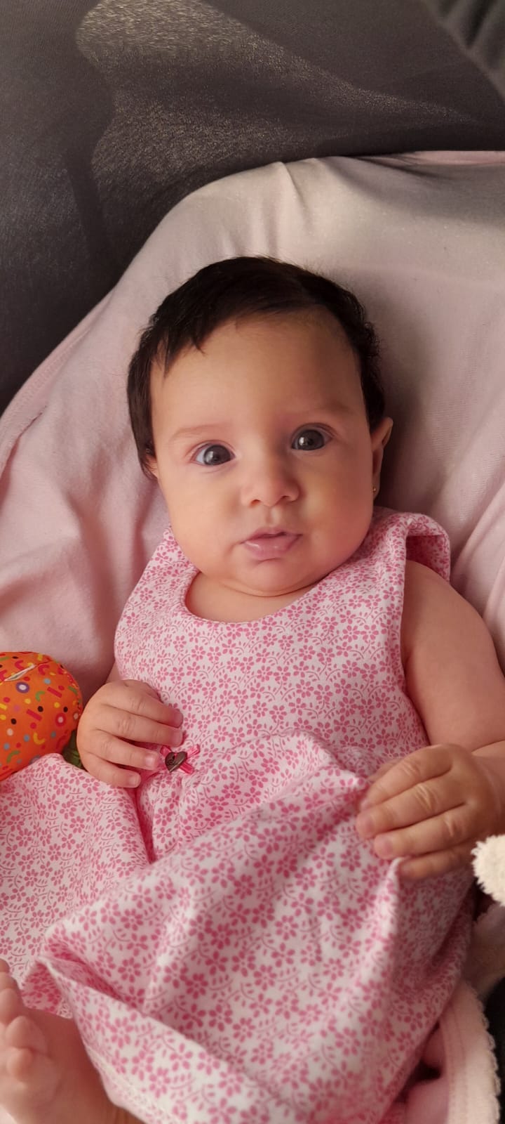 WhatsApp Image 2024-11-15 at 11.22.33.jpeg